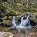 Bayern-Bodenmais-Hochfall-WWW_09