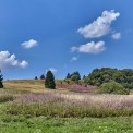 Bayern-Rhoen-Hochrhoenstrasse-WWW_01