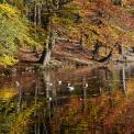Hessen-Wiesen-Wiesbuettmoor-WWW_06