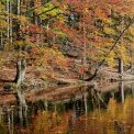 Hessen-Wiesen-Wiesbuettmoor-WWW_07