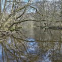Rheinland-Pfalz-Abtei-Marienstatt-Nister-WWW_01