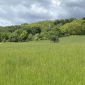 Rheinland-Pfalz-Leutesdorf_01