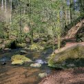 Rheinland-Pfalz-Pfalz-Trippstadt-Karlstalschlucht-WWW_06