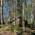 Rheinland-Pfalz-Pfalz-Trippstadt-Karlstalschlucht-WWW_09