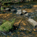 Rheinland-Pfalz-Pfalz-Trippstadt-Karlstalschlucht-WWW_11