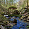 Rheinland-Pfalz-Pfalz-Trippstadt-Karlstalschlucht-WWW_12