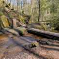 Rheinland-Pfalz-Pfalz-Trippstadt-Karlstalschlucht-WWW_14