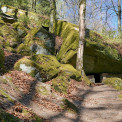 Rheinland-Pfalz-Pfalz-Trippstadt-Karlstalschlucht-WWW_15