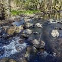 Rheinland-Pfalz-Seck-Holzbachschlucht-WWW_04
