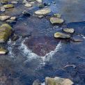 Rheinland-Pfalz-Seck-Holzbachschlucht-WWW_06