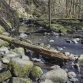 Rheinland-Pfalz-Seck-Holzbachschlucht-WWW_08