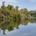 Taubergiessen-WWW_01