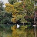 Taubergiessen-WWW_03