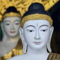 myanmar-yangon-shwedagon-pagode-www_11