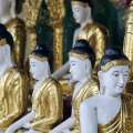 myanmar-yangon-shwedagon-pagode-www_16