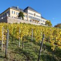 Hessen-Rheingau-Schloss-Johannisberg-WWW_01