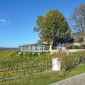 Hessen-Rheingau-Schloss-Johannisberg-WWW_04