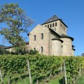 Hessen-Rheingau-Schloss-Johannisberg-WWW_05