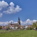 Rheinhessen-Mainz-Gonsenheim-WWW_02