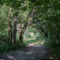 Rheinhessen-Mainz-Mombach-WWW_01