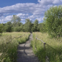 Rheinhessen-Ober-Olmer-Wald-WWW_02