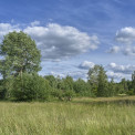 Rheinhessen-Ober-Olmer-Wald-WWW_03