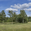 Rheinhessen-Ober-Olmer-Wald-WWW_04