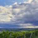1_Rheinhessen-Ober-Olm-Essenheim-WWW_01