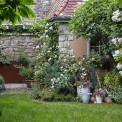 Rheinhessen-Dexheim-Holunderhof-WWW_01