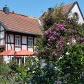 Rheinhessen-St-Johann-WWW_01