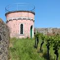 Rheinhessen-Wendelsheim-Weinbergsturm-WWW_01