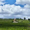 rheinhessen-gau-bickelheim-heilig-kreuz-kapelle-www_01