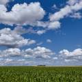 rheinhessen-partenheim-www_01