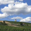 rheinhessen-vendersheim-www_02