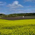 rheinhessen-wendelsheim-www_02