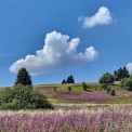 Bayern-Rhoen-Hochrhoenstrasse-WWW_02