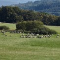 Bayern-Rhoen-Hochrhoenstrasse-WWW_05