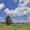 Bayern-Rhoen-Hochrhoenstrasse-WWW_10