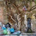Rom-Trastevere-WWW_03