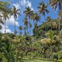 Saint-Lucia-Fond-Doux-Estate-WWW_04