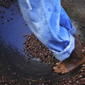 saint-lucia-fond-doux-estate-cacao-dance-www_01