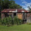 saint-lucia-laborie-balenbouche-estate-www_05