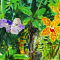 saint-lucia-ron-savory-2013-ausschnitt-www_01
