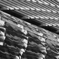 1_2013-Singapur-Fassade-Artscience-Museum-SWWW_01