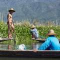 Myanmar-Inle-See-Floating-Gardens-WWW_01