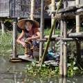 Myanmar-Inle-See-Ywama-WWW_10