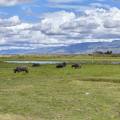 myanmar-inle-see-khaung-daing-www_01