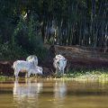 myanmar-naung-po-belu-kanal-www_01