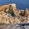 2024-Algarve-Carvoeiro-Algar-Seco-WWW_04