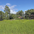 Sulawesi-Batutumonga-WWW_15